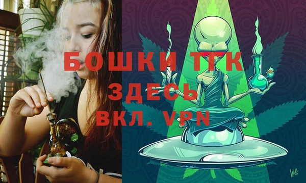 ПСИЛОЦИБИНОВЫЕ ГРИБЫ Нея
