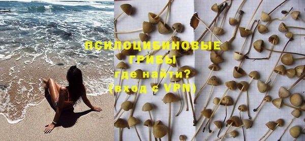ПСИЛОЦИБИНОВЫЕ ГРИБЫ Нея