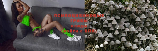 spice Нефтекумск
