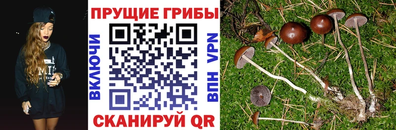 МЕГА сайт  купить   Сорск  Галлюциногенные грибы ЛСД 